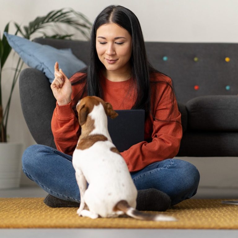 pet-lifestyle-together-with-owner pet-lifestyle-together-with-owner