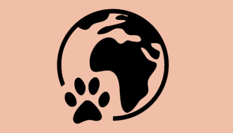 Monics-Hundewelt für kleine Hunderassen