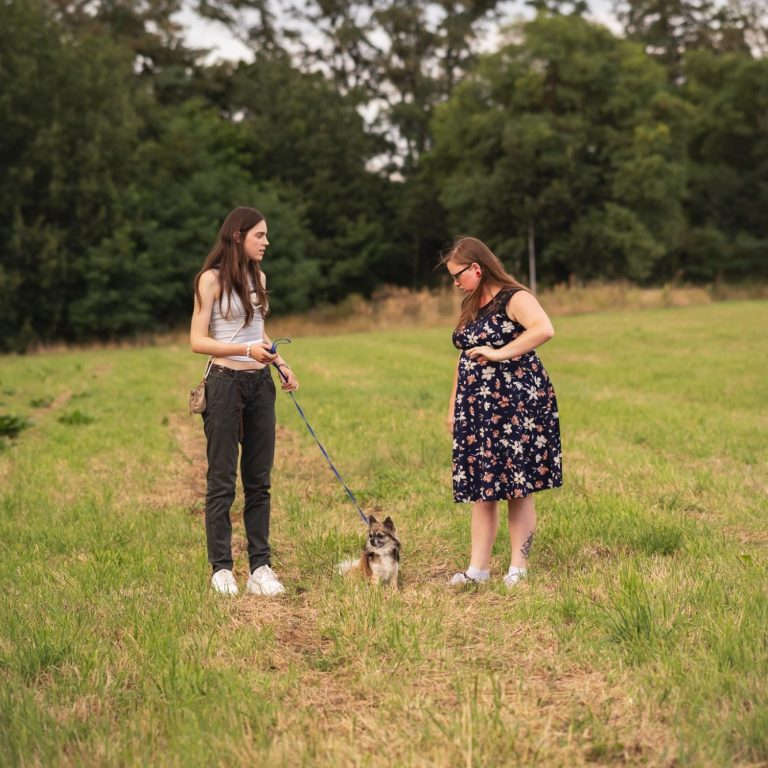 Training bei Monics-Hundewelt Einzeltraining draußen
