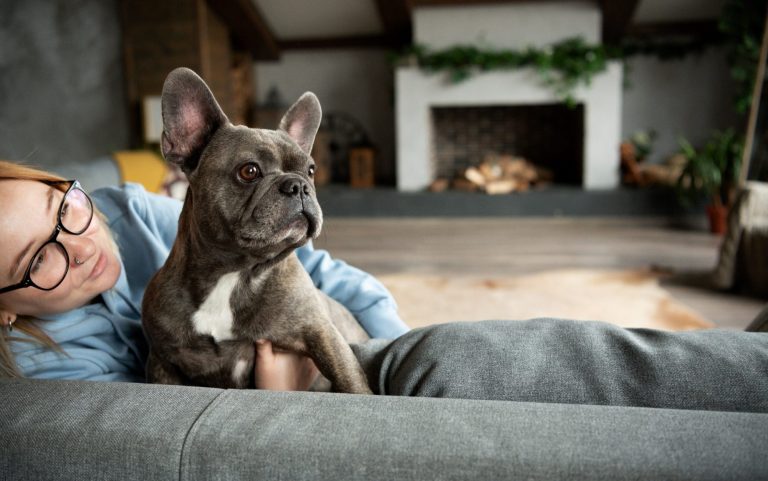 Monics-Hundewelt hilft dir dabei endlich mit deinem kleinen Hund zu Hause entspannen