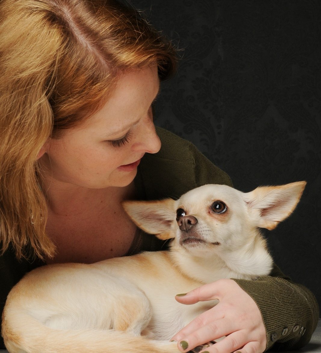 Monic und ihr kleiner Chihuahua gucken sich vertraut an