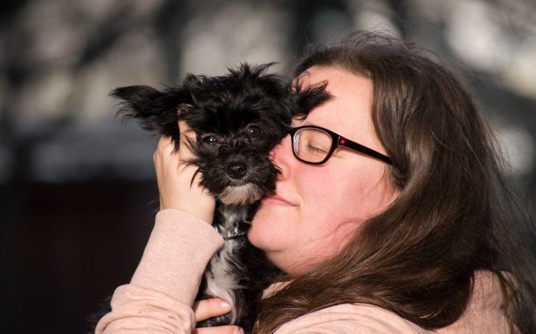 Monics-Hundewelt hilft dir dabei auch kleine Hunde wollen verstanden werden