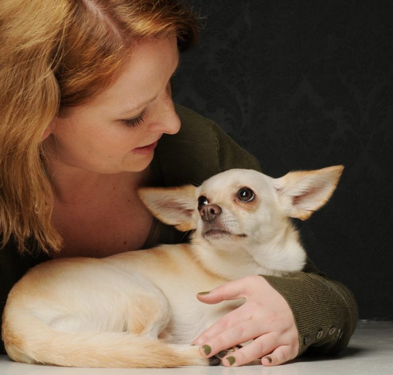Monics-Hundewelt hilft dir dabei Werde du und dein kleiner Hund auch ein Dreamteam